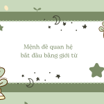 Bài tập mệnh đề quan hệ có giới từ (Relative clause with preposition)
